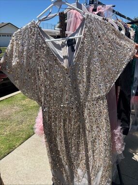 Adrianna Papell Sequin Embellished V-Neck Dress in Champagne Blush